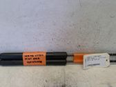Tailgate/trunk strut/damper