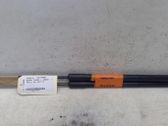 Tailgate/trunk strut/damper