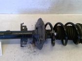 Front shock absorber with coil spring