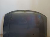 Motorhaube