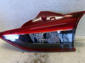 Tailgate rear/tail lights