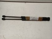 Tailgate/trunk strut/damper