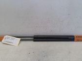 Tailgate/trunk strut/damper