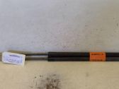 Tailgate/trunk strut/damper