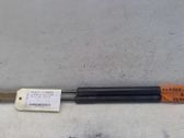 Tailgate/trunk strut/damper