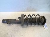 Front shock absorber with coil spring