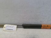 Tailgate/trunk strut/damper