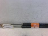 Tailgate/trunk strut/damper