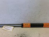 Tailgate/trunk strut/damper