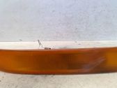 Front fender indicator light