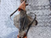 Hinterachsdifferential