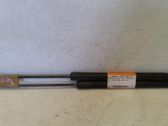 Tailgate/trunk strut/damper