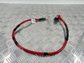 Positive cable (battery)