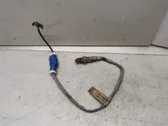Lambdasonde Regelsonde