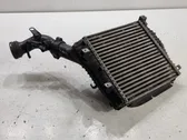 Radiador intercooler