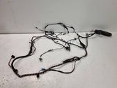 Front door wiring loom