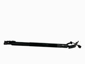 Tailgate/trunk strut/damper