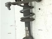 Amortiguador delantero con muelle espiral