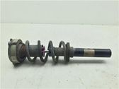 Amortiguador delantero con muelle espiral