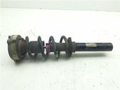 Amortiguador delantero con muelle espiral