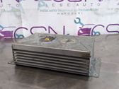 Sound amplifier