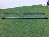 Tailgate/trunk strut/damper