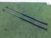 Tailgate/trunk strut/damper