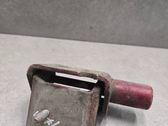 Rear door lower hinge