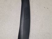 Rear/tail light trim molding