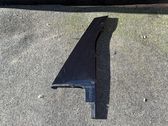 Other rear door trim element