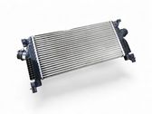 Intercooler radiator