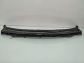 Moldura del limpia