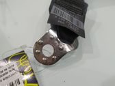 Cinturón medio (trasero)