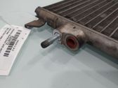 Heater blower radiator