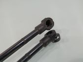 Tailgate/trunk strut/damper