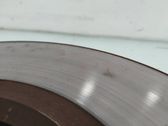Front brake disc