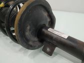 Front shock absorber/damper