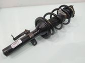 Front shock absorber/damper