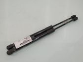 Amortiguador/puntal del capó/tapa delantero