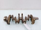 Vilebrequin du moteur