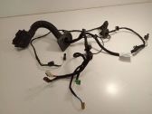 Front door wiring loom