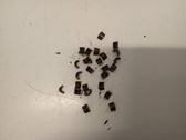 Head Valve Retaining Insert/Retainer