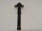 Rear shock absorber/damper
