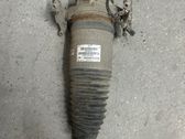 Rear shock absorber/damper