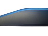 Rear door trim (molding)