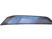 Front fender indicator light