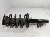 Front shock absorber with coil spring