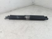 Tailgate/trunk strut/damper