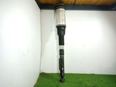 Rear shock absorber/damper
