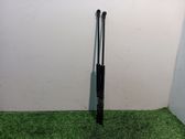 Tailgate/trunk strut/damper